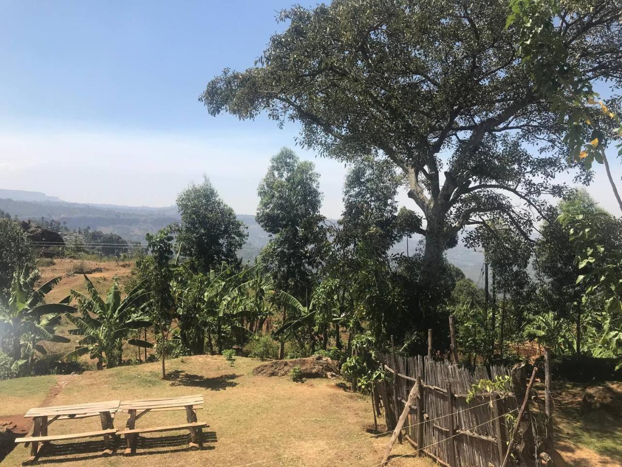 Апартаменты Sipi Backpackers Kapchorwa Экстерьер фото