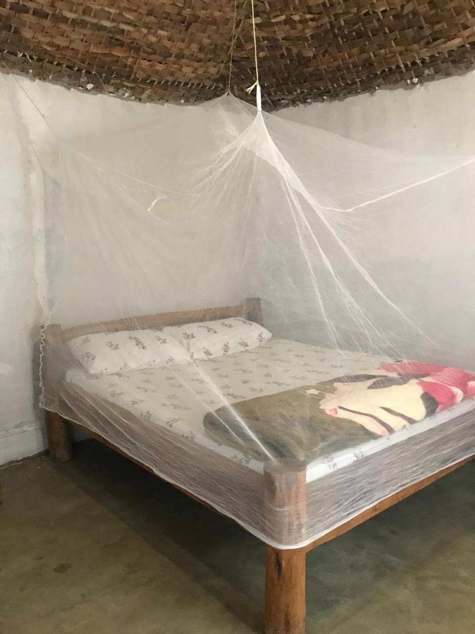 Апартаменты Sipi Backpackers Kapchorwa Номер фото